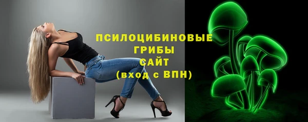 mix Богородск