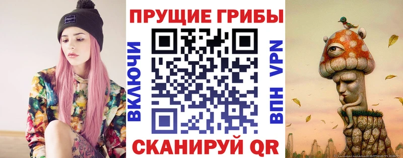 Купить Калининград Псилоцибиновые грибы Psilocybe